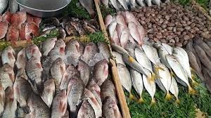 اسعار السمك اليوم الاحد الموافق 27 يناير 2025 للمستهلك في الاسواق وحلقات الاسماك
