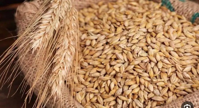 استقرار في سعر طن الارز الشعير اليوم الاثنين الموافق 27 يناير 2025 للمستهلك في المحال التجارية