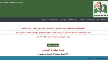 موعد إعلان نتائج امتحان الشهادة السودانية 2025 للدفعة المؤجلة وطرق الاستخراج إلكترونيًا عبر mohe.gov.sd