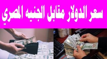 تراجع سعر الدولار اليوم مقابل الجنيه المصري في السوق السوداء