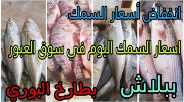 اسعار السمك اليوم بالكيلو في سوق العبور .. ارتفاع 6 أصناف من بينهم البلطي