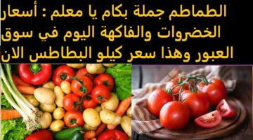 "بالكيلو" أسعار الخضروات في سوق العبور اليوم الثلاثاء 28 يناير 2025 للمستهلك وداخل أسواق التجزئة.. الطماطم بكام