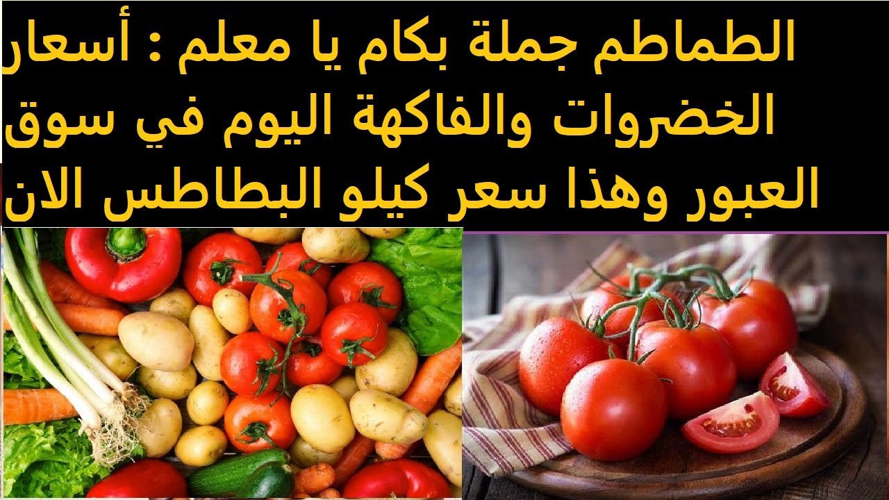 “بالكيلو” أسعار الخضروات في سوق العبور اليوم الثلاثاء 28 يناير 2025 للمستهلك وداخل أسواق التجزئة.. الطماطم بكام