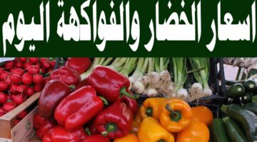 أسعار الفاكهة في سوق العبور اليوم الثلاثاء 28 يناير 2025 للمستهلك بالكيلو وفقًا لآخر تحديثات التعاملات اليومية