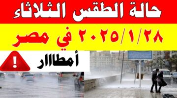 حالة الطقس اليوم الثلاثاء 28-1-2025 وفقاً لبيان هيئة الأرصاد الجوية