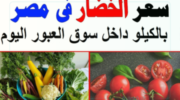 ارتفاع وانخفاض أسعار الخضار اليوم بالكيلو الخميس 30 يناير 2025 في مصر للمستهلك داخل الأسواق المحلية التجارية