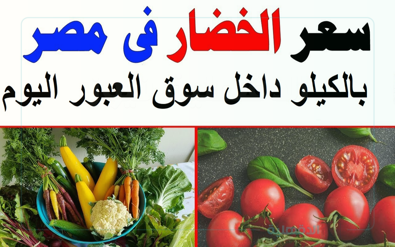 ارتفاع وانخفاض أسعار الخضار اليوم بالكيلو الخميس 30 يناير 2025 في مصر للمستهلك داخل الأسواق المحلية التجارية