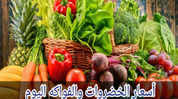 أسعار الخضار اليوم بالكيلو في سوق العبور والأسواق المحلية تباين لحظي وفقًا لتعاملات اليوم الأربعاء 29-1-2025