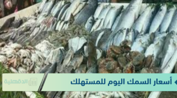 أسعار السمك اليوم للمستهلك الاحد الموافق 19 يناير 2025 للمستهلكين في الاسواق وحلقات الاسماك