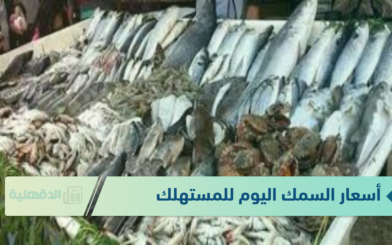 أسعار السمك اليوم للمستهلك الاحد الموافق 19 يناير 2025 للمستهلكين في الاسواق وحلقات الاسماك