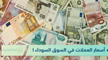 استقرار أسعار العملات في السوق السوداء اليوم في مصر امام الجنيه بختام التعاملات