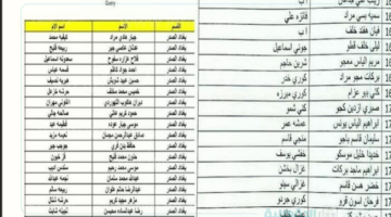 أسماء المشمولين في الرعاية الاجتماعية من خلال منصة مظلتي الإلكترونية عبر الإنترنت