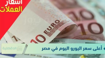 أعلى سعر اليورو اليوم في مصر الاثنين الموافق 20 يناير 2025 وفق آخر تحديث صادر عن البنوك