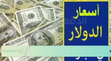 سعر الدولار اليوم مقابل الجنيه المصري في كل البنوك العاملة في مصر بختام التعاملات