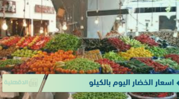 لتجار التجزئة والمستهلك.. جدول اسعار الخضار اليوم بالكيلو الثلاثاء الموافق 21 يناير 2025 في الاسواق وسوق العبور