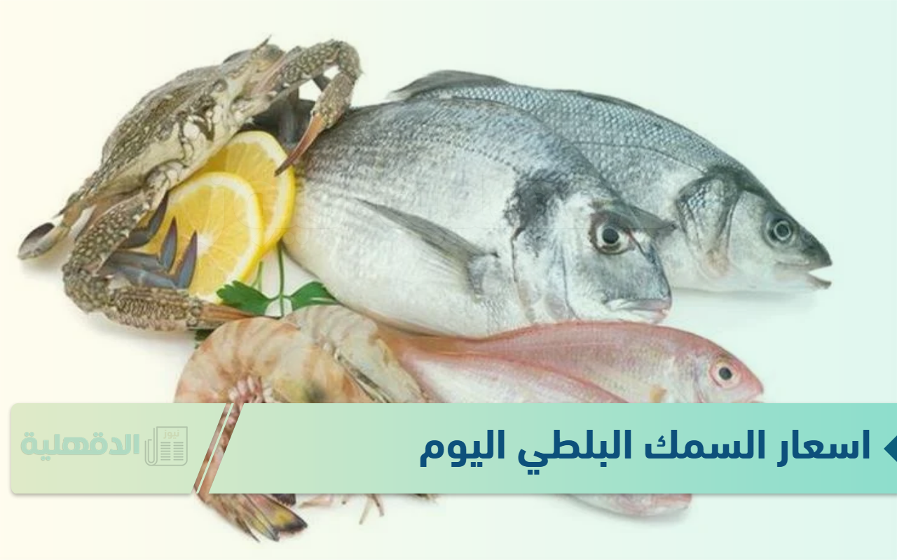 اسعار السمك البلطي اليوم  الاثنين الموافق 20 يناير 2025 للمستهلكين في الاسواق وحلقات الاسماك