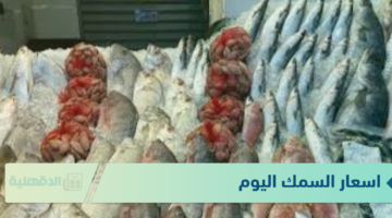 اسعار السمك اليوم الثلاثاء الموافق 21 يناير 21 يناير 2025 للمستهلك في الاسواق وسوق العبور