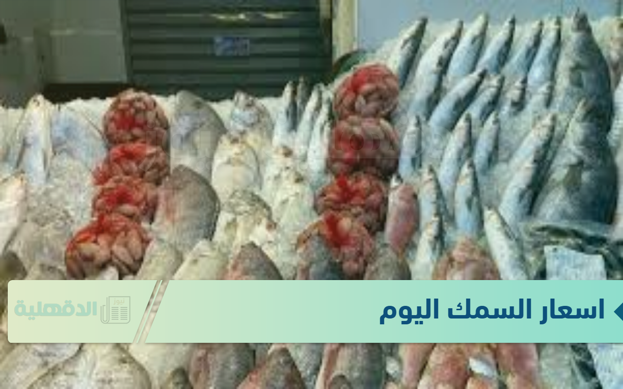 اسعار السمك اليوم الثلاثاء الموافق 21 يناير 21 يناير 2025 للمستهلك في الاسواق وسوق العبور