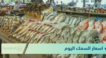 أسعار السمك اليوم الاربعاء الموافق 22 يناير 2025 للمستهلك في الاسواق وحلقات الاسماك