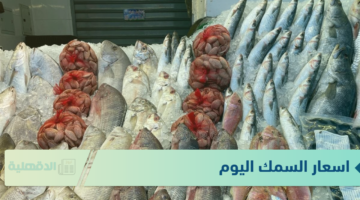 اسعار السمك اليوم الثلاثاء 21 يناير 2025 في سوق العبور للجُملة