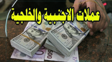 اسعار العملات اليوم في مصر تستقر في السوق السوداء والبنوك بمنتصف التعاملات