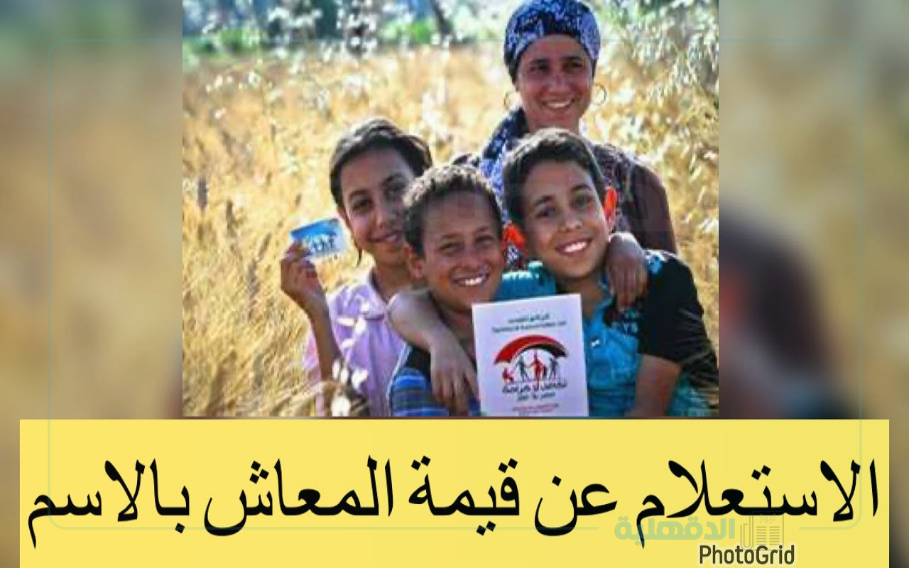 كيفية الاستعلام عن قيمة المعاش بالاسم عبر nosi.gov.eg بعد تطبيق زيادة الحدين الأدنى والأقصى لشهر فبراير 2025