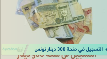 التسجيل في منحة 300 دينار تونس من خلال الرابط الرسمي social.gov.tn