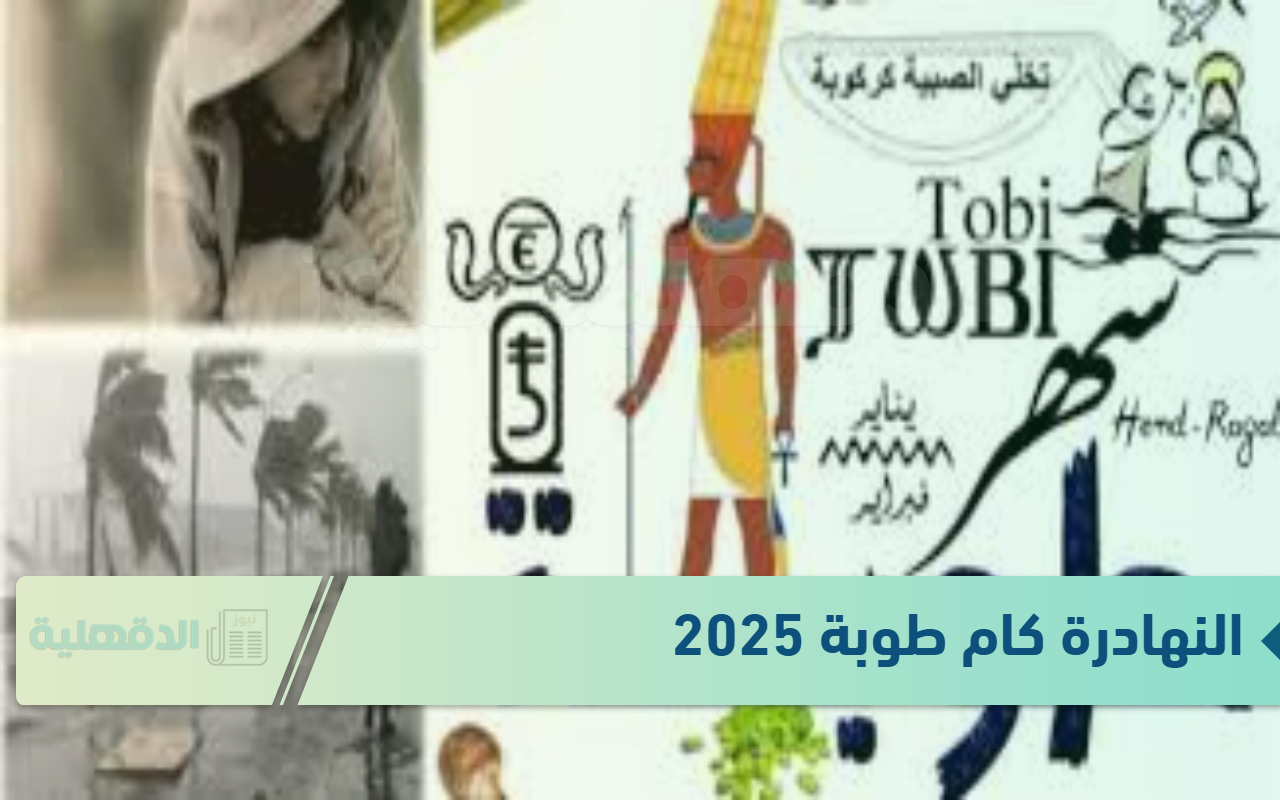 النهادرة كام طوبة 2025 وورقة نتيجة اليوم الجمعة الموافق 24 يناير 2025