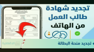"minha.anem.dz" تجديد منحة البطالة من خلال رابط الموقع الرسمي للوكالة الوطنية للتشغيل