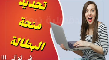 "mtess.gov.dz" رابط تجديد منحة البطالة الجزائر عبر الموقع الرسمي للوكالة الوطنية للتشغيل