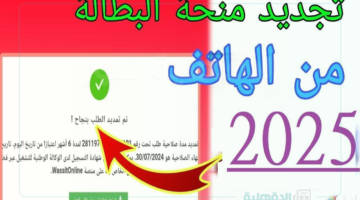 الوكالة الوطنية للتشغيل تعلن.. تجديد منحة البطالة في الجزائر عبر anem.dz