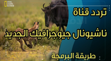 تردد قناة ناشيونال جيوغرافيك 2025 على القمر الصناعي النايل سات والعرب سات بجودة عالية hd ومدبلجة للغة العربية