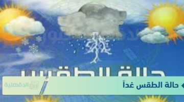 الأرصاد الجوية تعلن حالة الطقس غداً الثلاثاء 21 يناير 2025.. أمطار متفاوتة الشدة وشبورة تصل الي حد الضباب