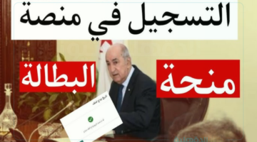 خطوات التسجيل في منحة البطالة 2025 عبر الوكالة الوطنية للتشغيل