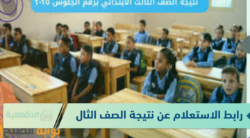 رابط نتيجة الصف الثالث الابتدائي برقم الجلوس و بالاسم عبر بوابة التعليم الاساسي eduserv.cairo.gov.eg
