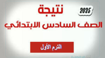 "الشهادة الابتدائية" رابط موقع بوابة التعليم الأساسي للنتائج 2025 عبر eduserv.cairo.gov.eg