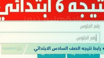 رابط نتيجه الصف السادس الابتدائي 2025 (جميع المحافظات) عبر eduserv.cairo.gov