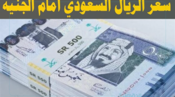 ريال سعودي مقابل الجنية المصري اليوم الأربعاء الموافق 29 يناير 2025 في البنوك المصرية