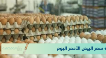 سعر البيض الأحمر اليوم الاحد الموافق 19 يناير 2025 للمستهلك في المزارع والبورصة
