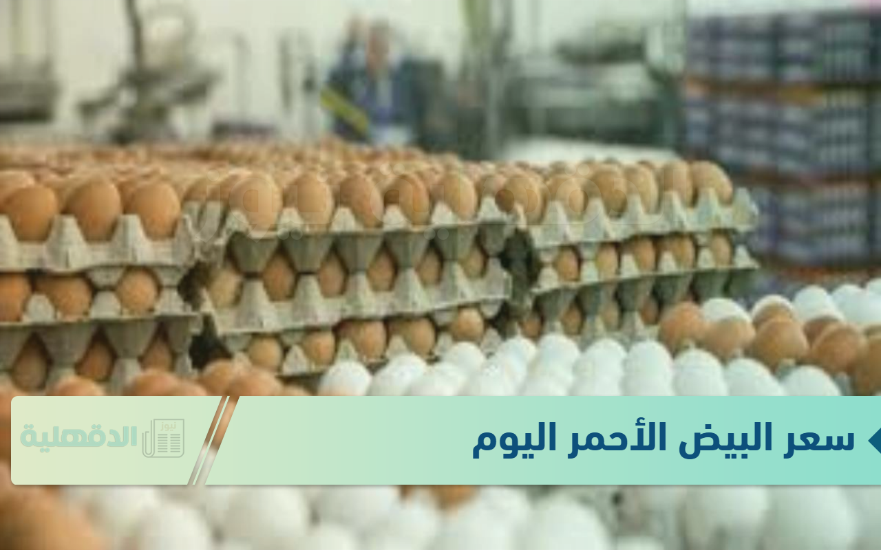 سعر البيض الأحمر اليوم  الاحد الموافق 19 يناير 2025 للمستهلك في المزارع والبورصة