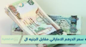 سعر الدرهم الاماراتي مقابل الجنيه المصري الاثنين الاثنين 20 يناير 2025 وفق آخر تحديث لقيمتي البيع والشراء