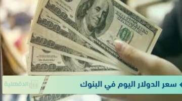 سعر الدولار اليوم مقابل الجنيه المصرى الاثنين 20 يناير 2025 وفق آخر تحديث صادر عن البنوك لقيمتي البيع والشراء