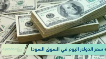 سعر الدولار اليوم في السوق السوداء الثلاثاء الموافق 21 يناير 2025 وفق آخر تحديث لقيمتي البيع والشراء