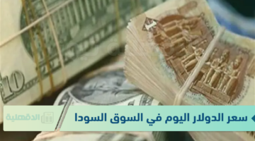 الدولار طاير في السما .. سعر الدولار اليوم في السوق السوداء 18-1-2025