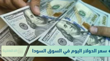 سعر الدولار اليوم في السوق السوداء الجمعة الموافق 25 يناير 2025 وفق آخر تحديثات لقيمتي البيع والشراء