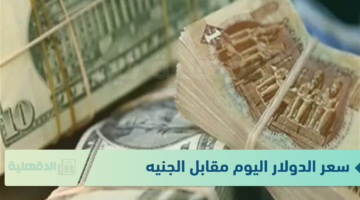 الأخضر يتراجع .. سعر الدولار اليوم مقابل الجنيه في البنوك 14-1-2025