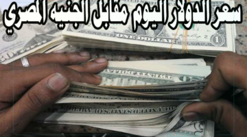 "بيع وشراء" سعر الدولار اليوم مقابل الجنيه المصري الأربعاء 29 يناير 2025 في السوق السوداء والبنوك المصرية