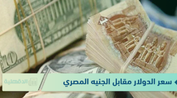سعر الدولار مقابل الجنيه المصري اليوم الثلاثاء 21-1-2025 في البنوك والسوق السوداء