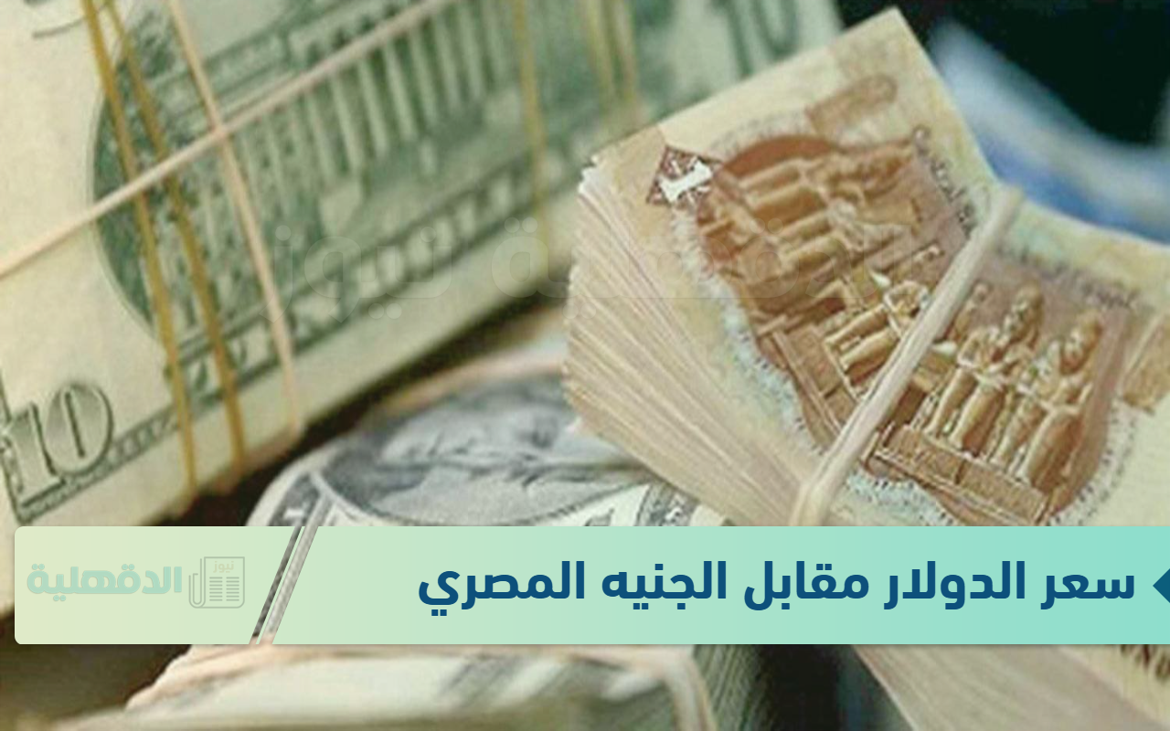 سعر الدولار مقابل الجنيه المصري اليوم الثلاثاء 21-1-2025 في البنوك والسوق السوداء