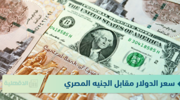 سعر الدولار مقابل الجنيه المصري اليوم الاثنين 20/1/2025.. يواصل التراجع في 15 بنكًا